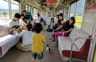 Quán cafe mèo trên tàu hỏa duy nhất chỉ có ở Nhật Bản