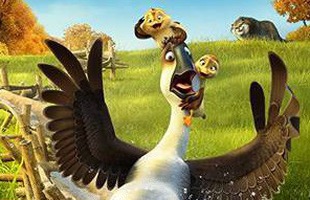 Duck Duck Goose - Tựa phim hoạt hình hài hước về những chú vịt trời vui nhộn